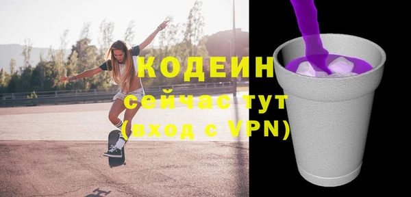 амф Каменка