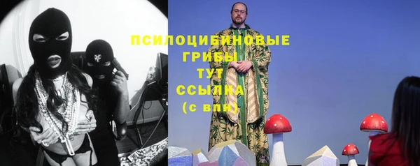 ГАЛЛЮЦИНОГЕННЫЕ ГРИБЫ Каменск-Шахтинский