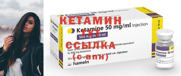 амф Каменка