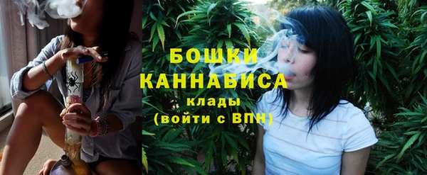 амф Каменка