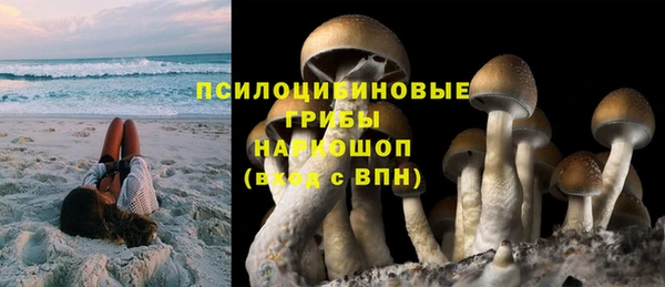 не бодяженный Каменногорск